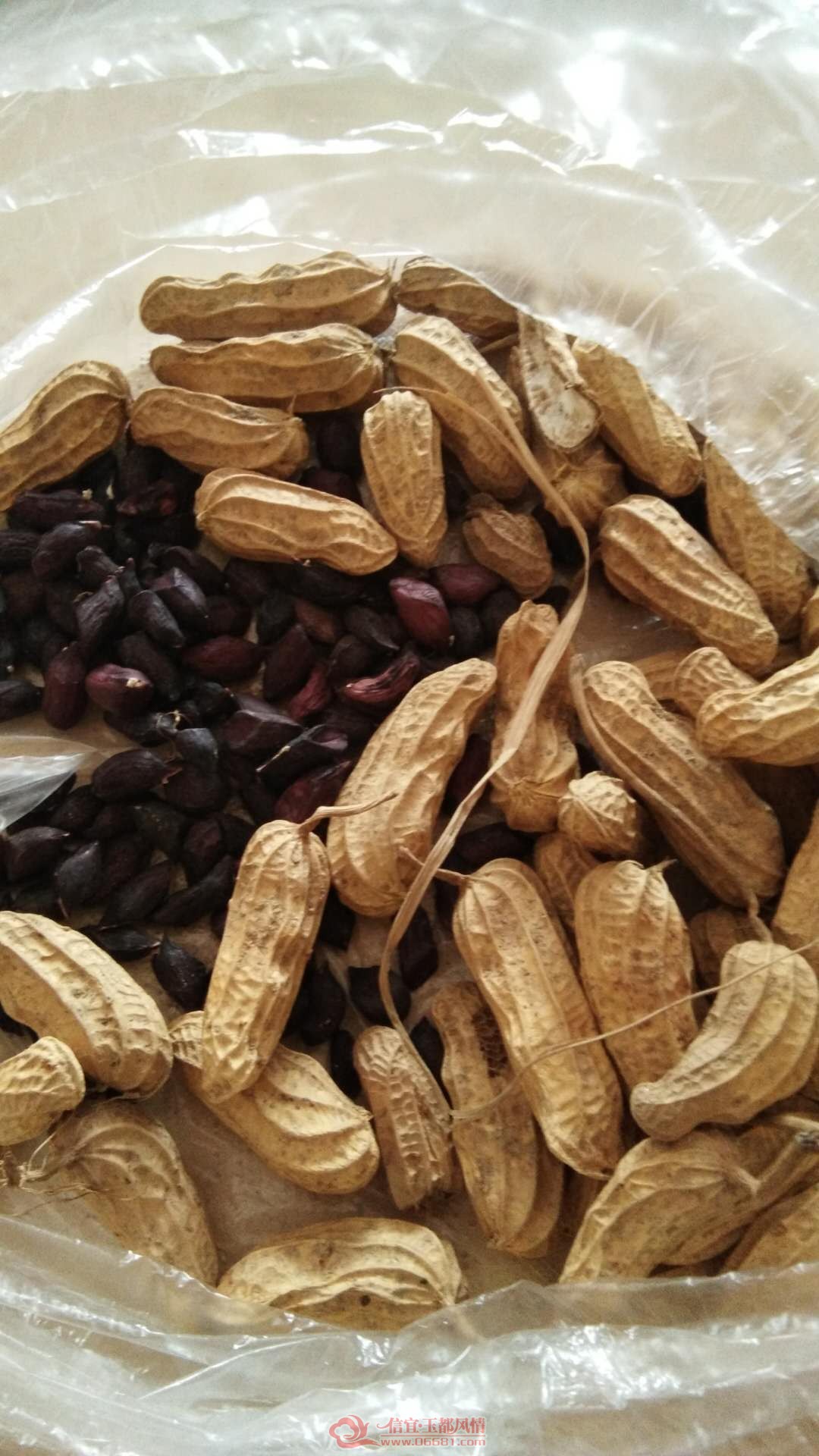 ΢��ͼƬ_20180727103254.jpg
