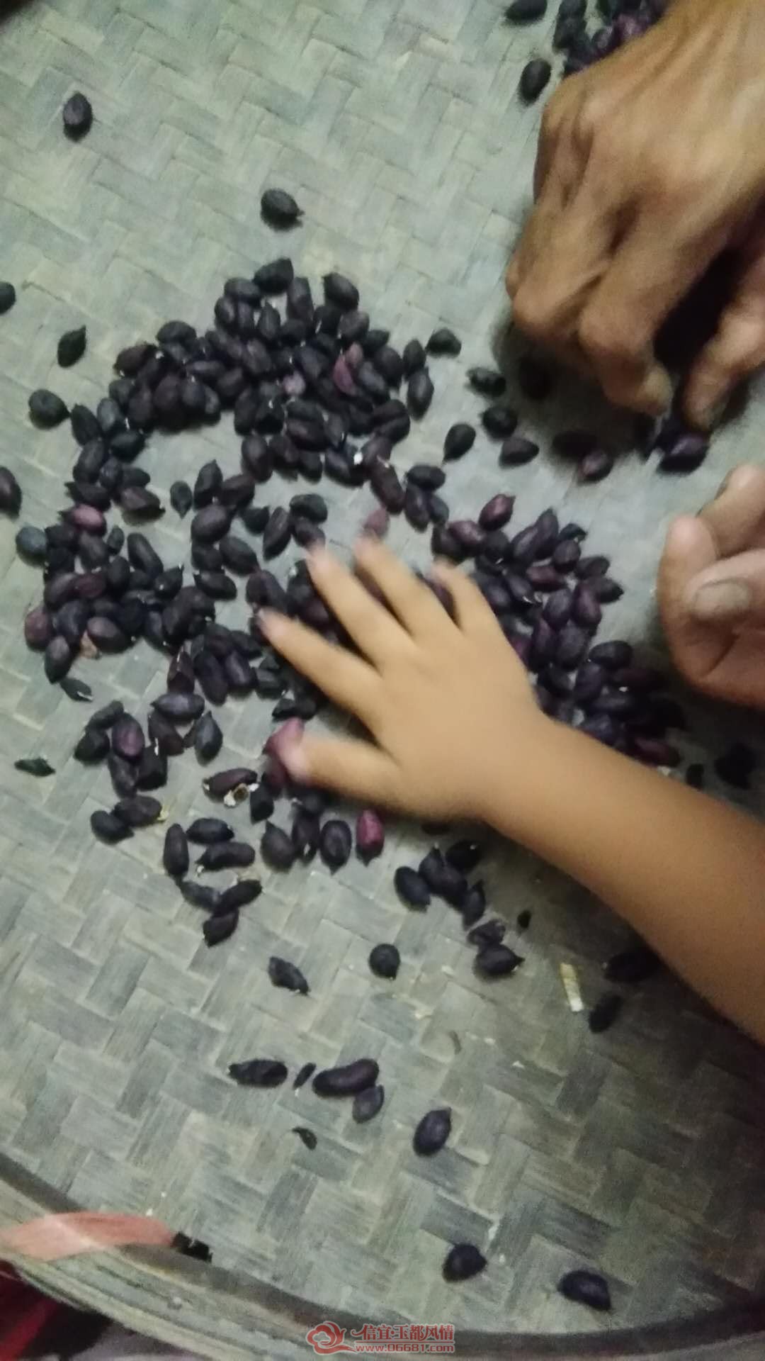 ΢��ͼƬ_20180727103249.jpg