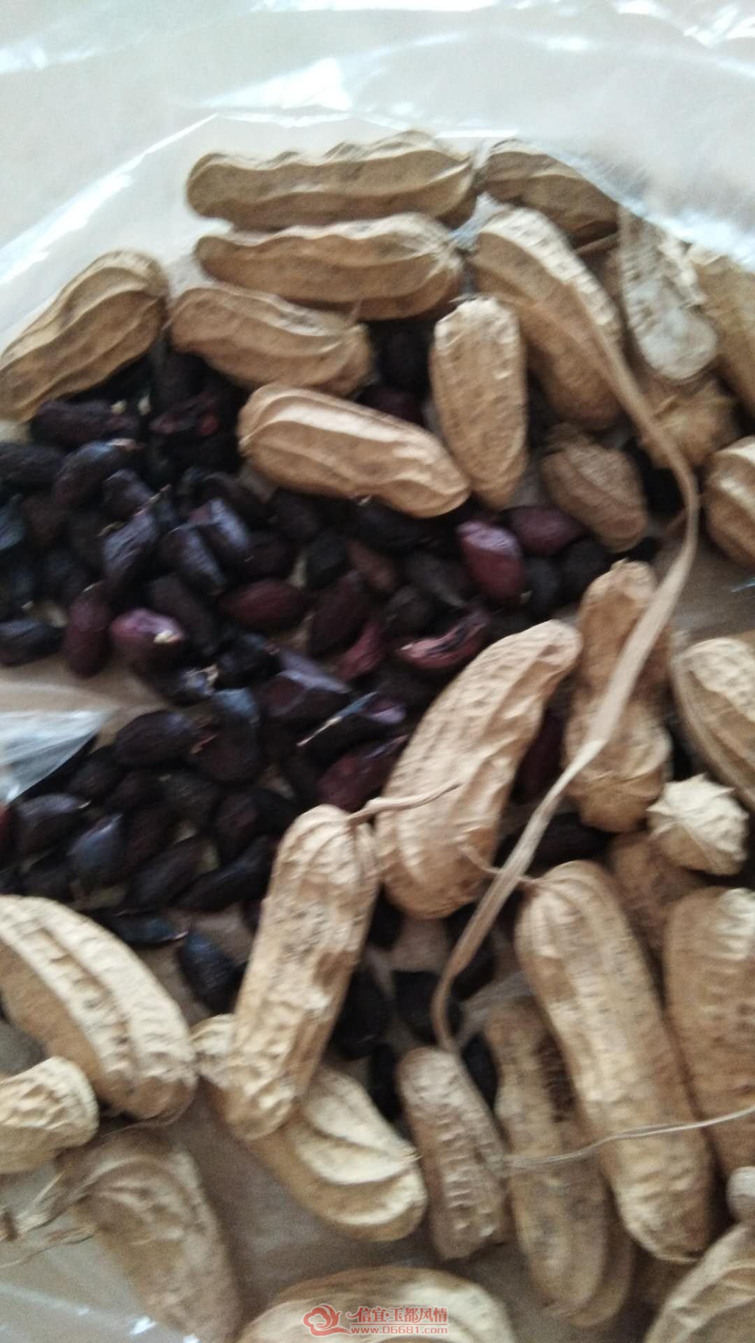 ΢��ͼƬ_20180727103329.jpg