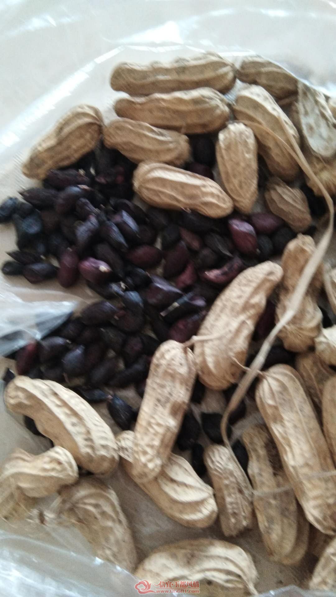 ΢��ͼƬ_20180727103342.jpg