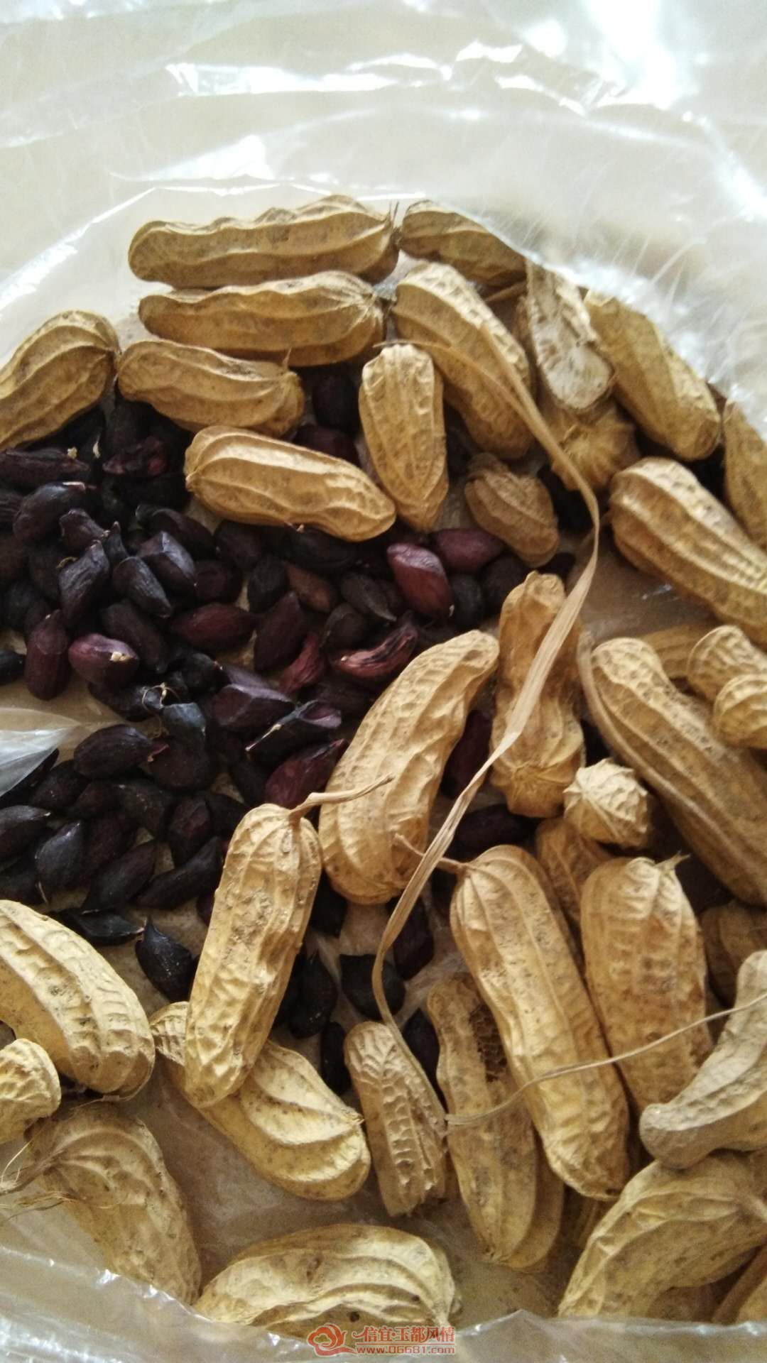 ΢��ͼƬ_20180727103345.jpg