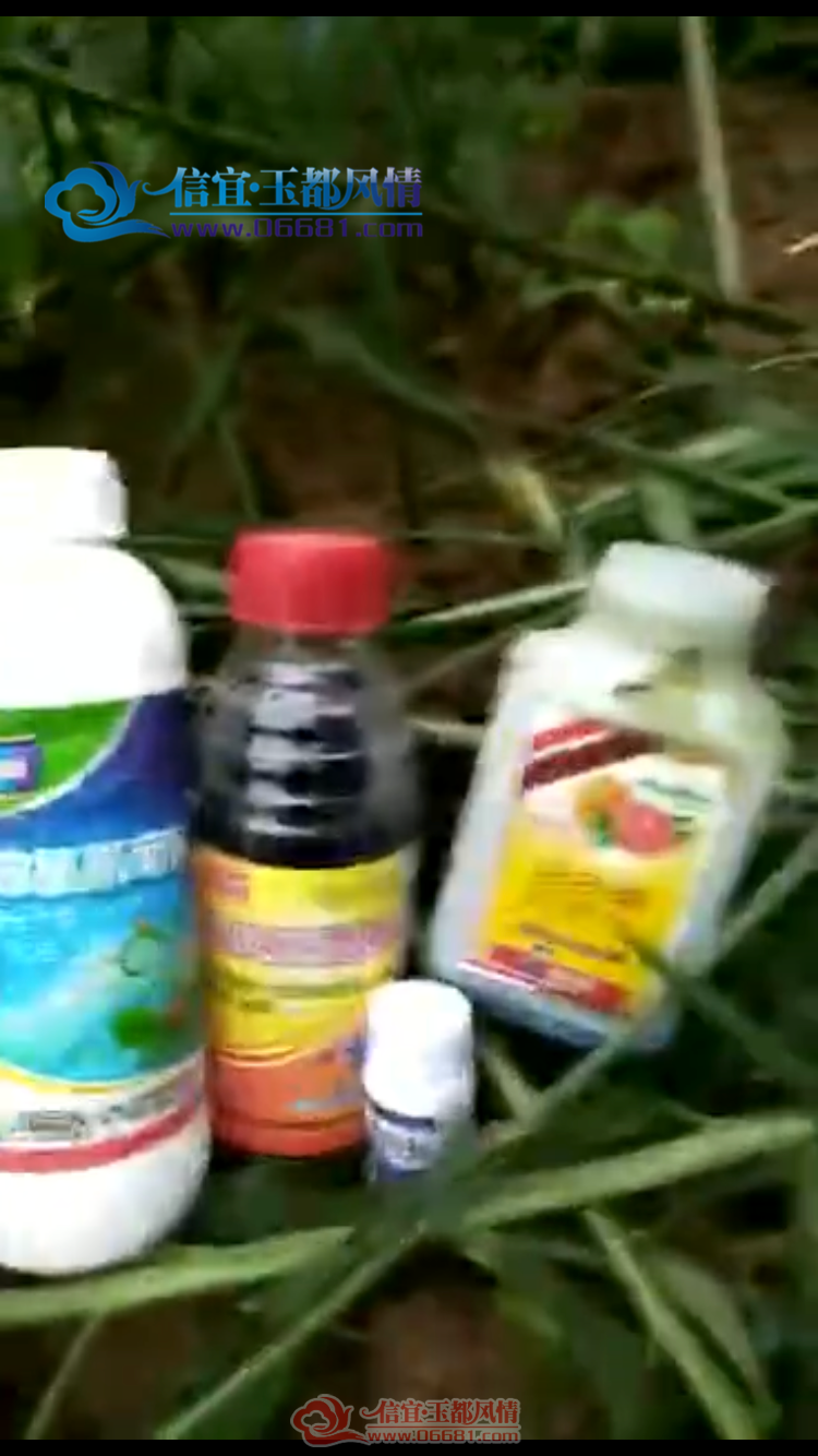 8D8F083D-886D-46B0-BEEB-E00D41648179.png