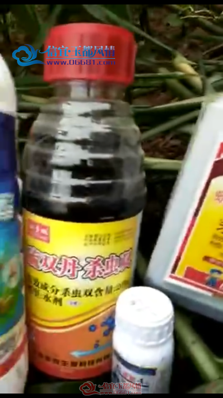 8D8F083D-886D-46B0-BEEB-E00D41648179.png