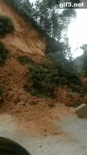 gif5���ļ�.gif