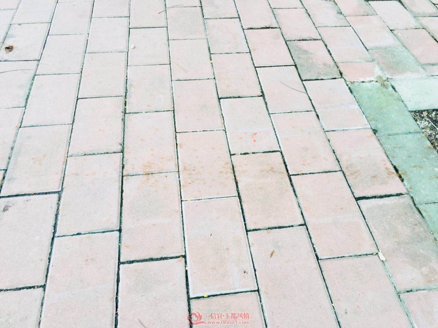 ΢��ͼƬ_20180831173337.jpg