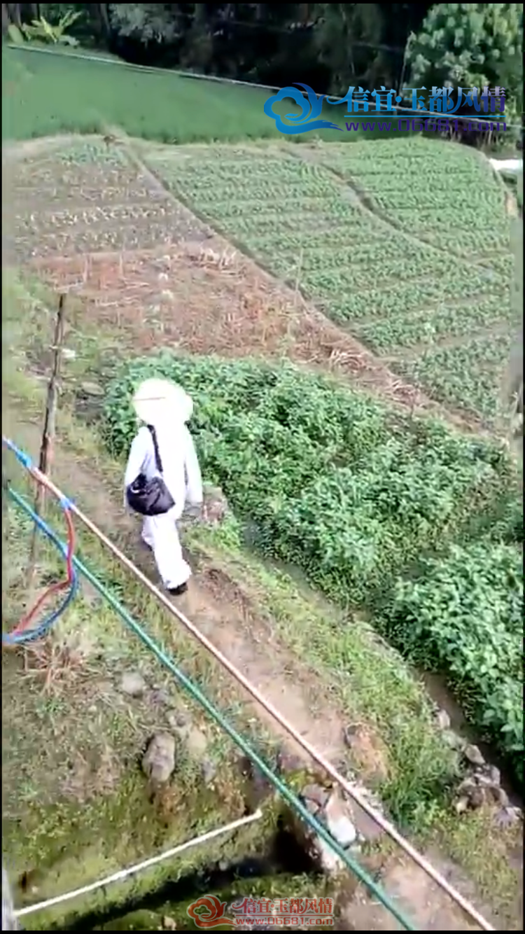 [����]������Щ��ׯ����һЩ�������ݵĺ�������ҪǮ