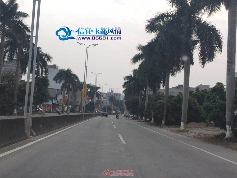 ����207��������Ҭȫ���⿳ Ⱥ�ڿ�����һ