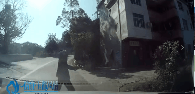 6.gif