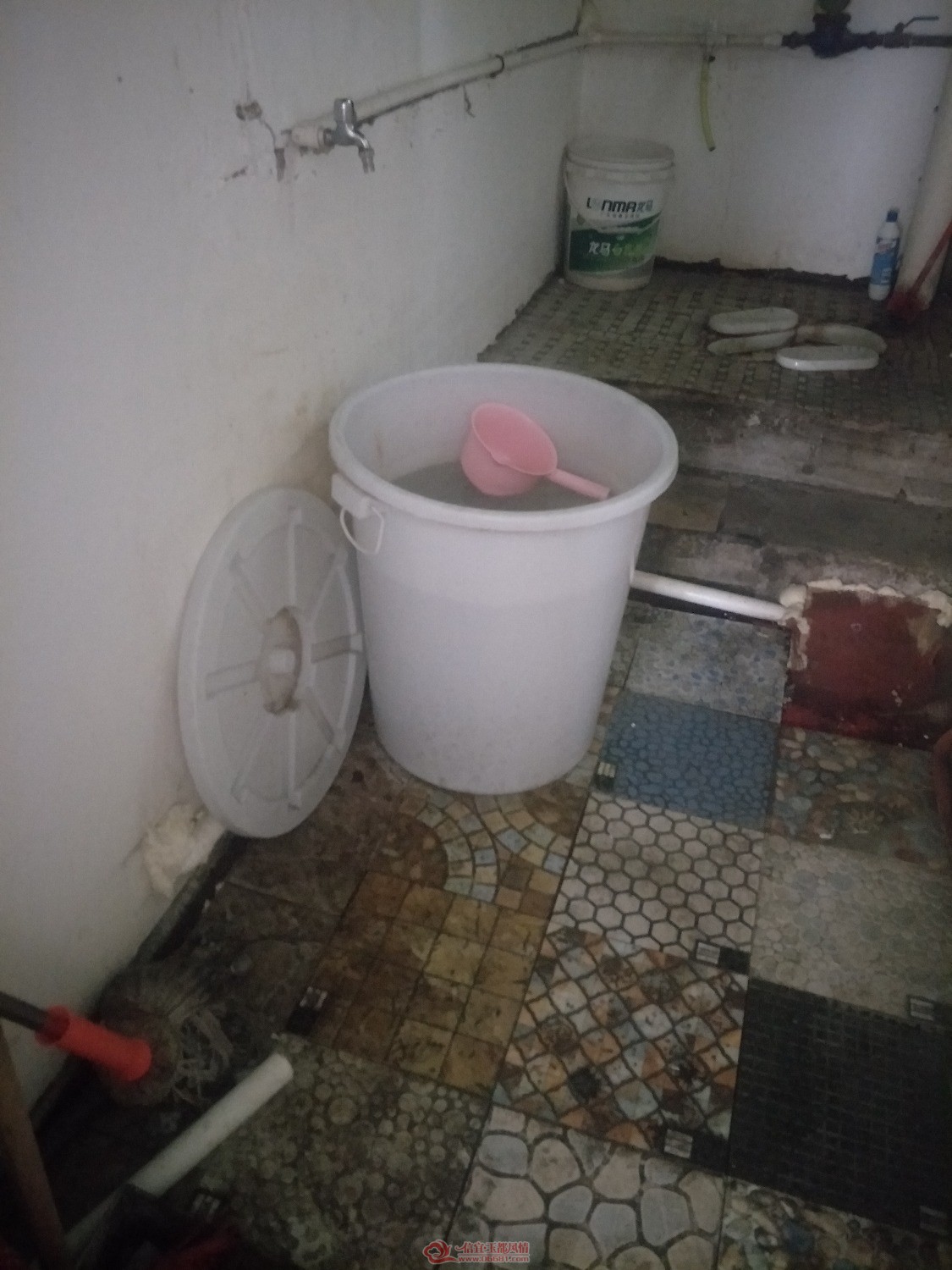 IMG20181121124911.jpg