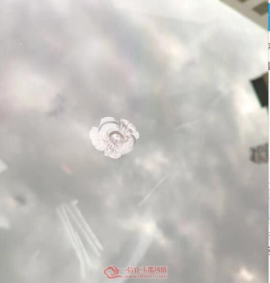 QQ��ͼ20181128171835.jpg