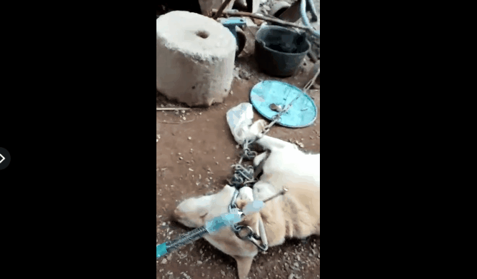 �������˴���ҹ��͵����ʹ��"����"����