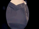 7.gif