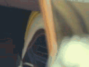9.gif