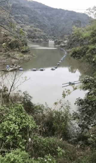 2.gif
