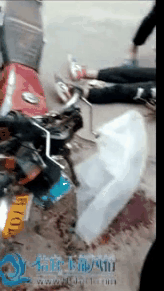 2.gif