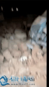 1.gif