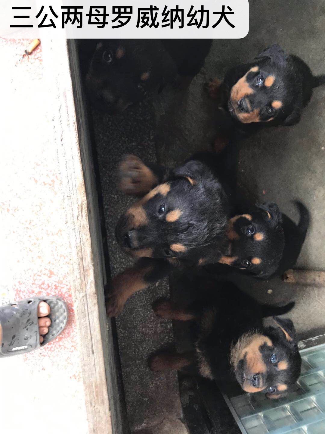 ������