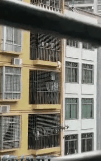 2.gif