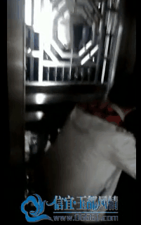 3.gif