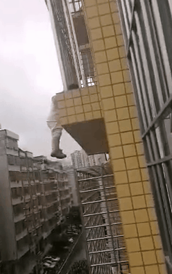 6.gif