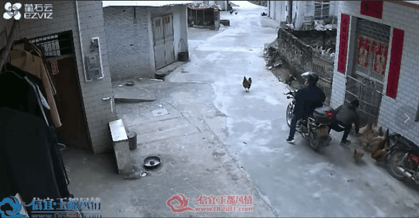 ΢��ͼƬ_20190312144232.png