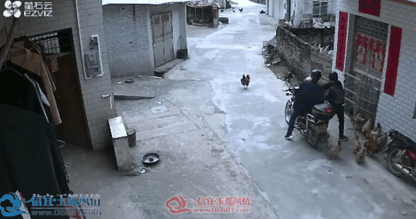 ΢��ͼƬ_20190312144235.png