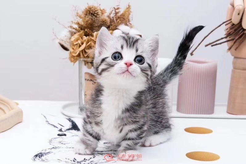 ΢��ͼƬ_20190410142529.jpg