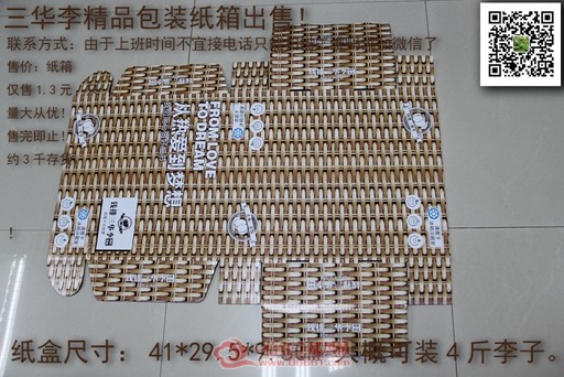 ISO125 0906.jpg