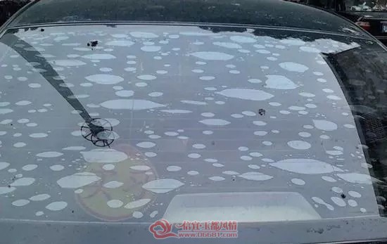 2_��ͼ��.web.jpg