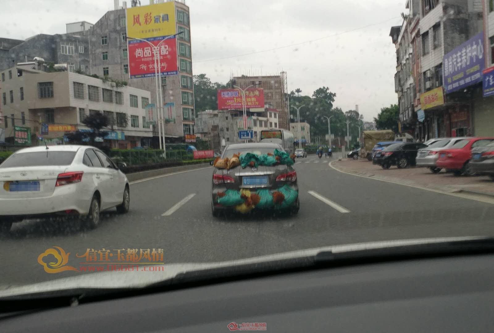 ����һС����β�ϰ���ʮ��ֻ�� ����ʻԱ��ģ��