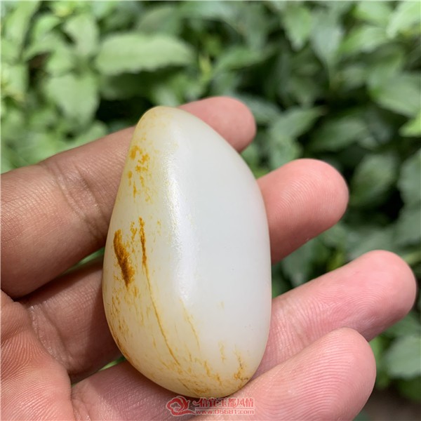 ΢��ͼƬ_20190506154353.jpg