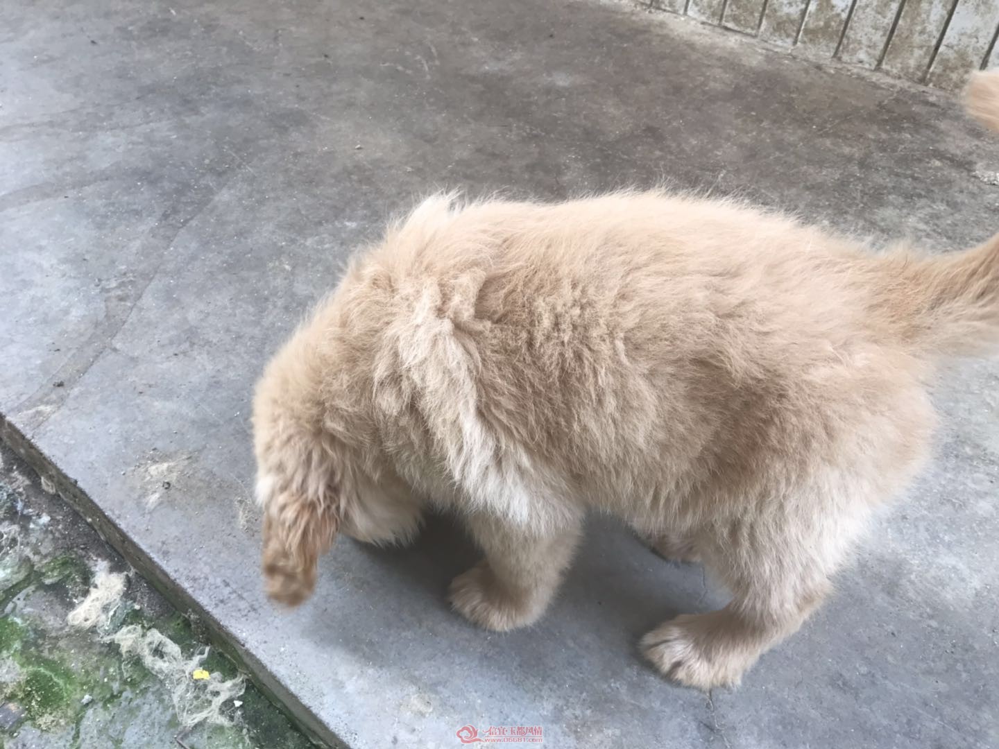 ΢��ͼƬ_20190512170506.jpg