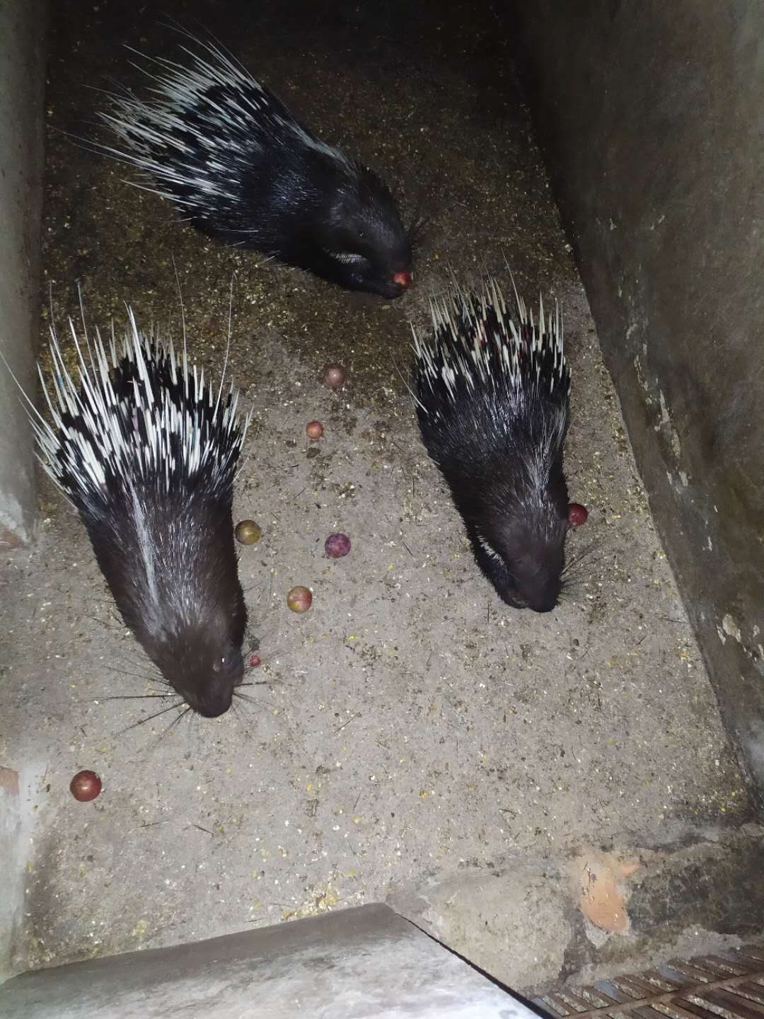 ��������ļ�������