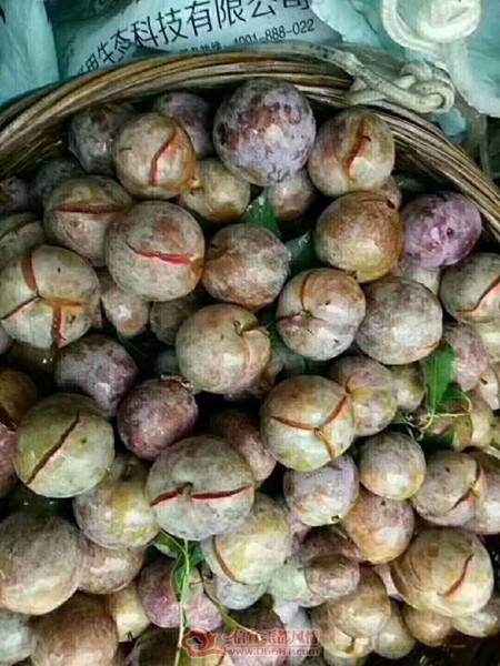 ΢��ͼƬ_20190530145918.jpg