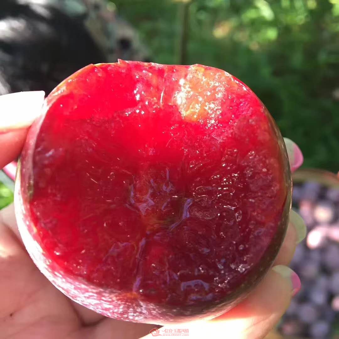 ΢��ͼƬ_20190603232035.jpg