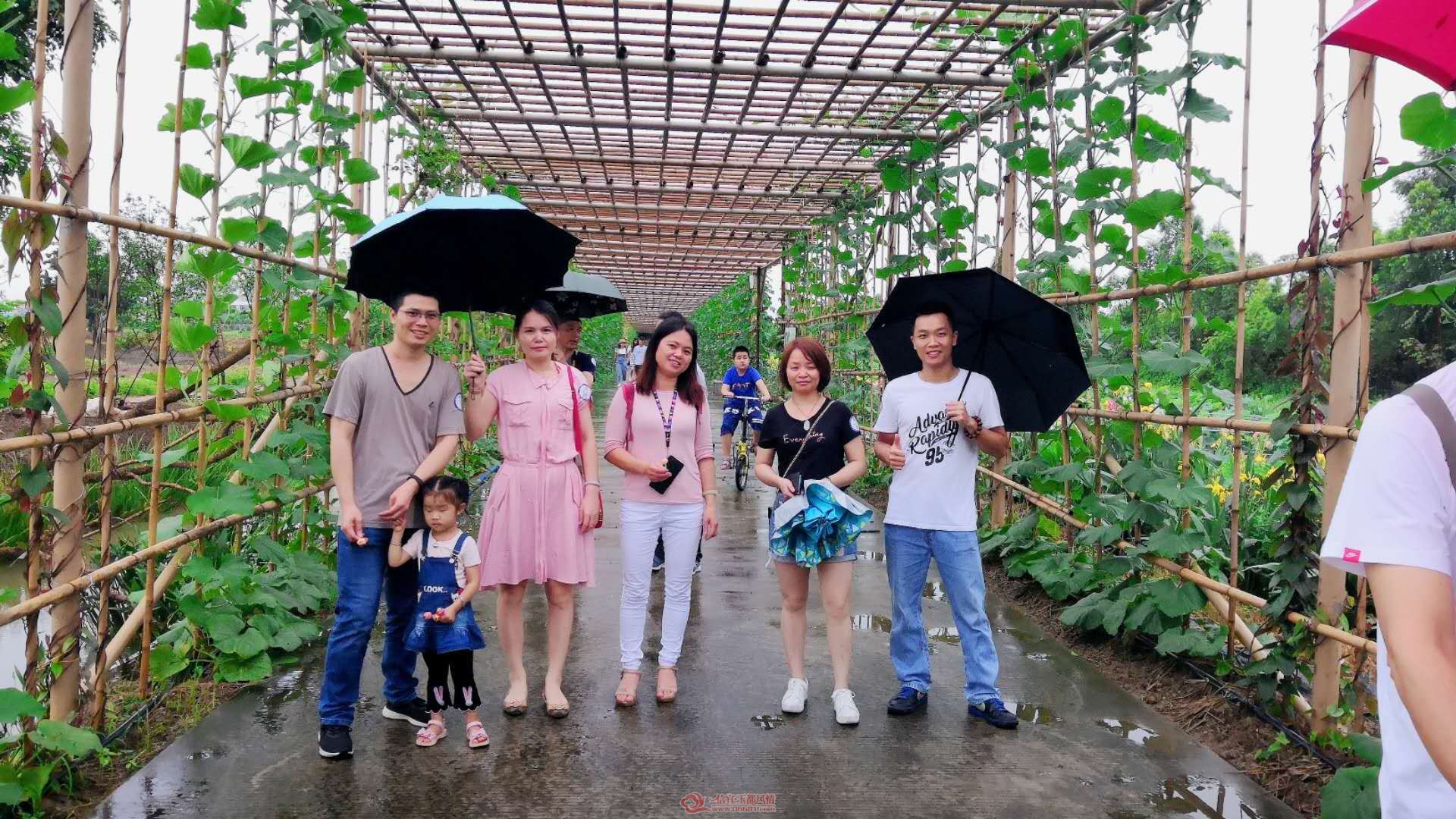 ΢��ͼƬ_20190604002054.jpg