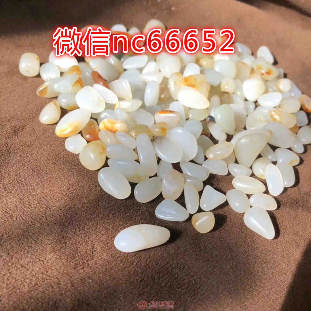 02.jpg