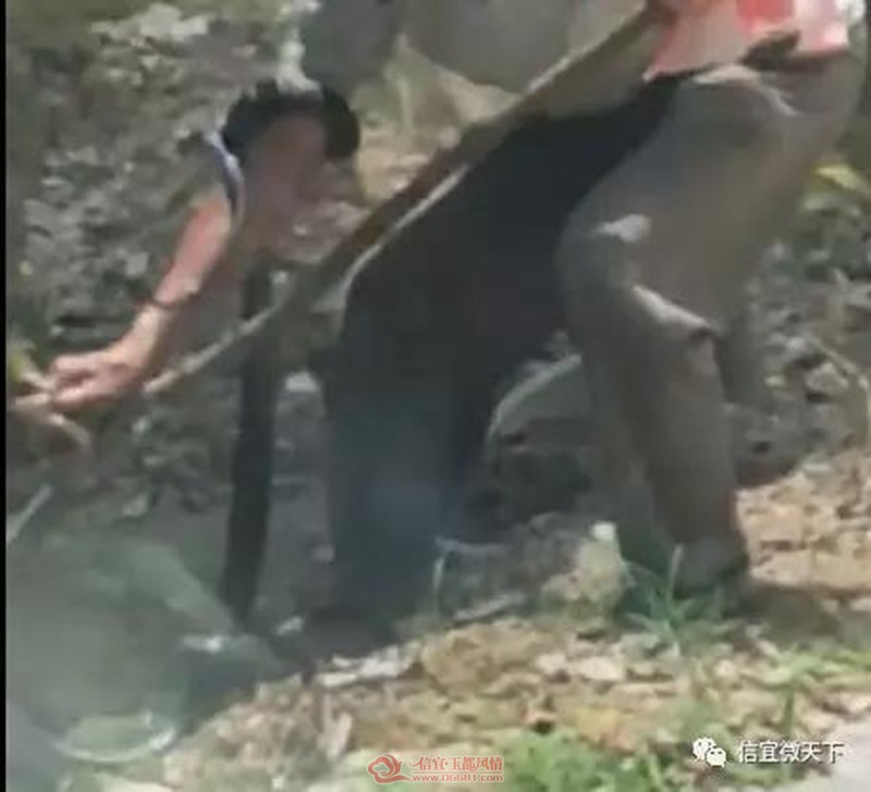 ΢��ͼƬ_20190612113016.jpg