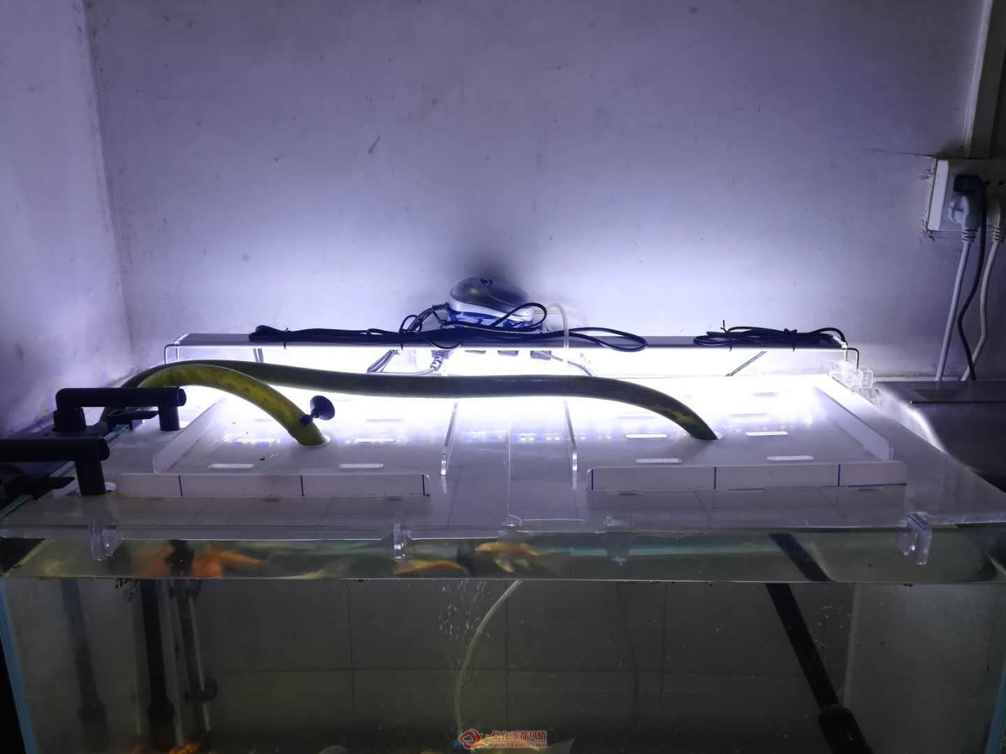 ΢��ͼƬ_20190618175729.jpg