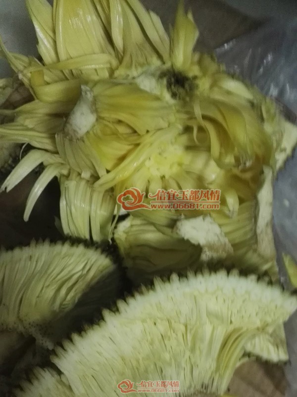 ����һ�����򵽼�Ʒ�ı���ľ���� ֻ���ĸ����ܰ�