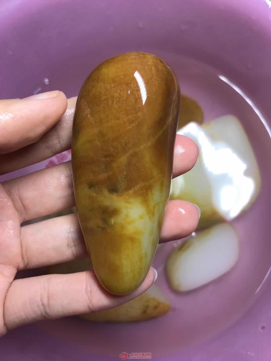 ΢��ͼƬ_20190621113420.jpg