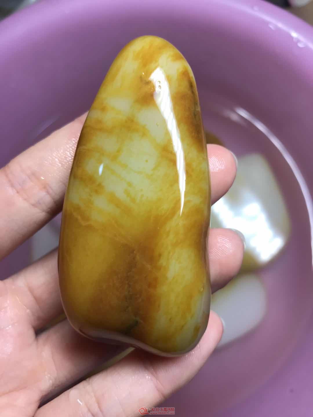 ΢��ͼƬ_201906211134203.jpg