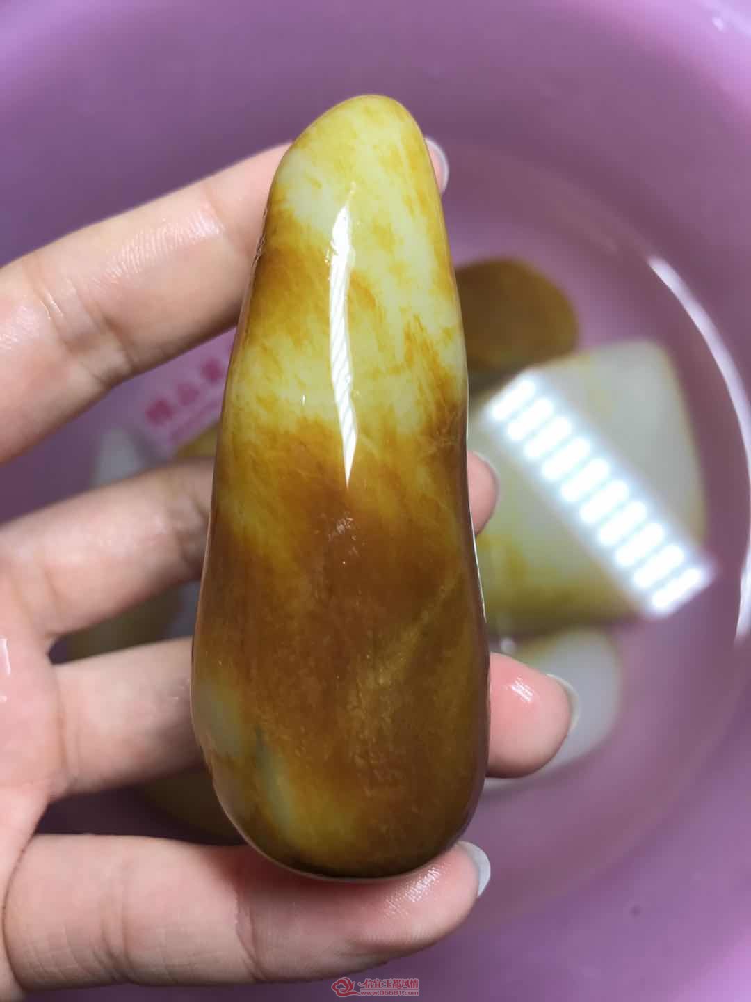 ΢��ͼƬ_201906211134206.jpg