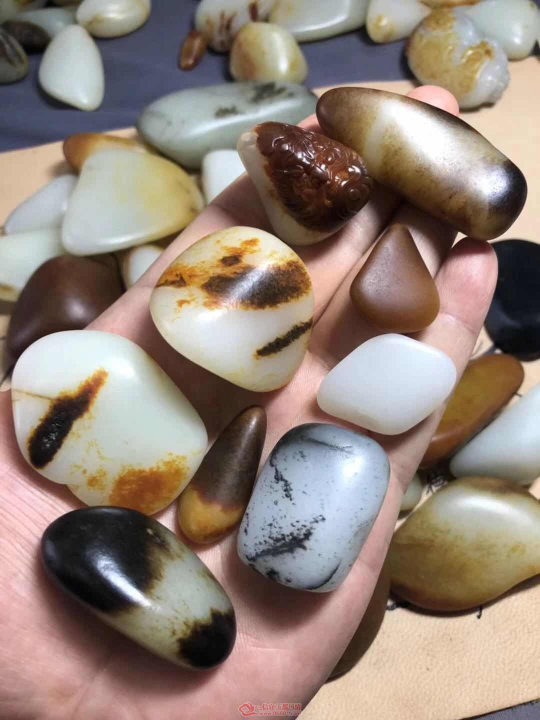 ΢��ͼƬ_201906241119108.jpg