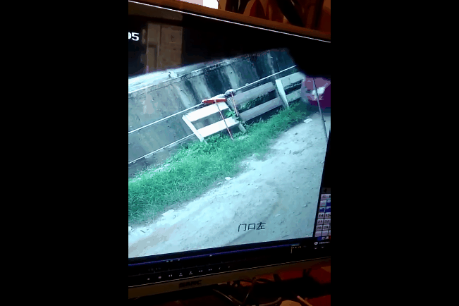 11.gif