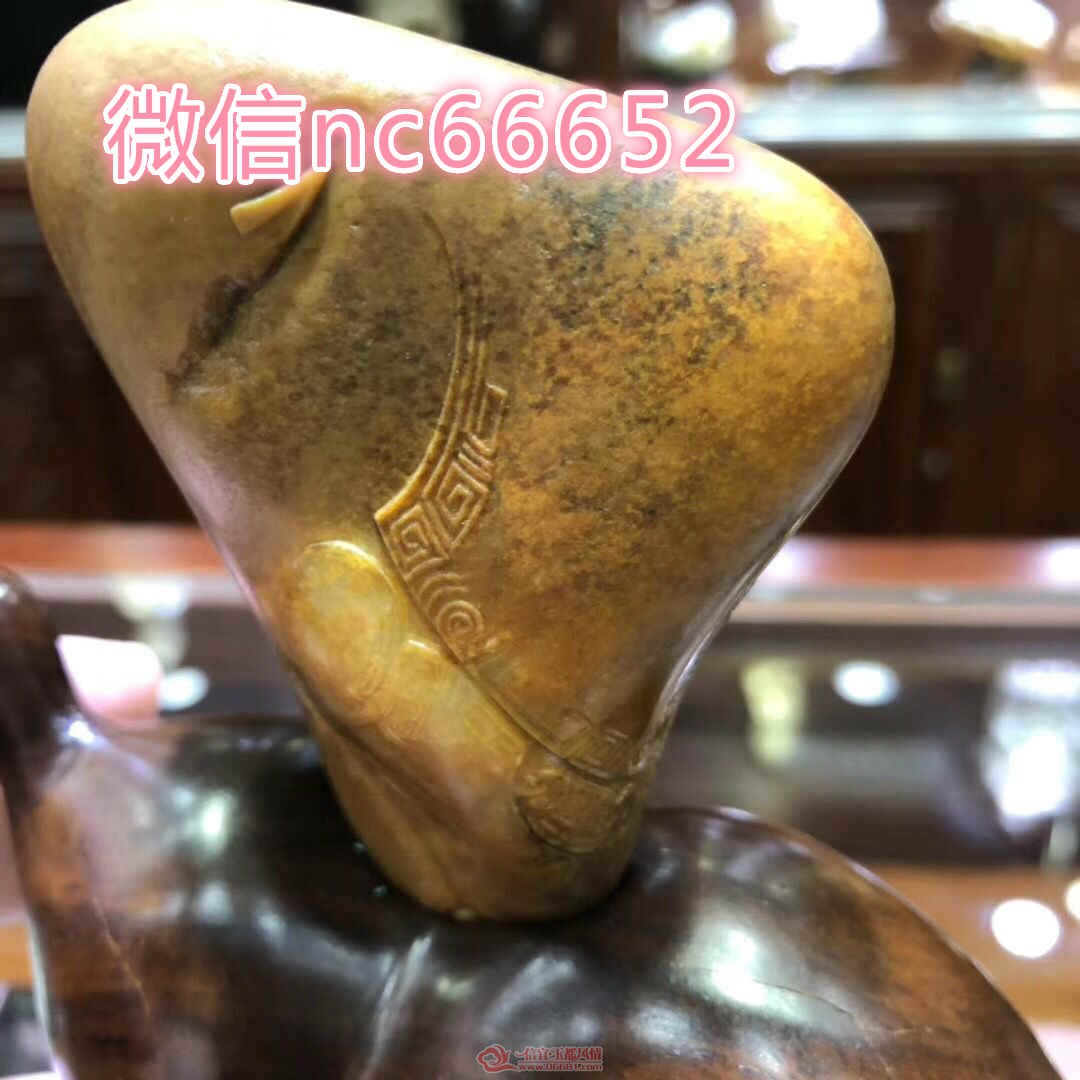 05.jpg
