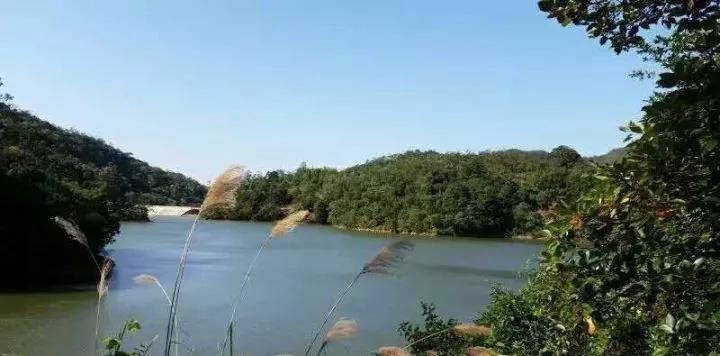 ΢��ͼƬ_20190809104442.jpg