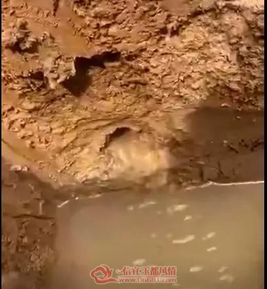 ���˳ض�һ�����޽����ڳ�һȪ�� ����׷׳���
