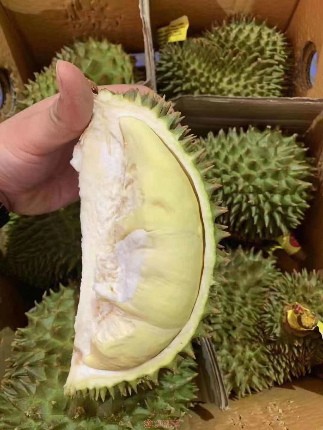74b0d442f8eeabbde4db68f41f8842b.jpg