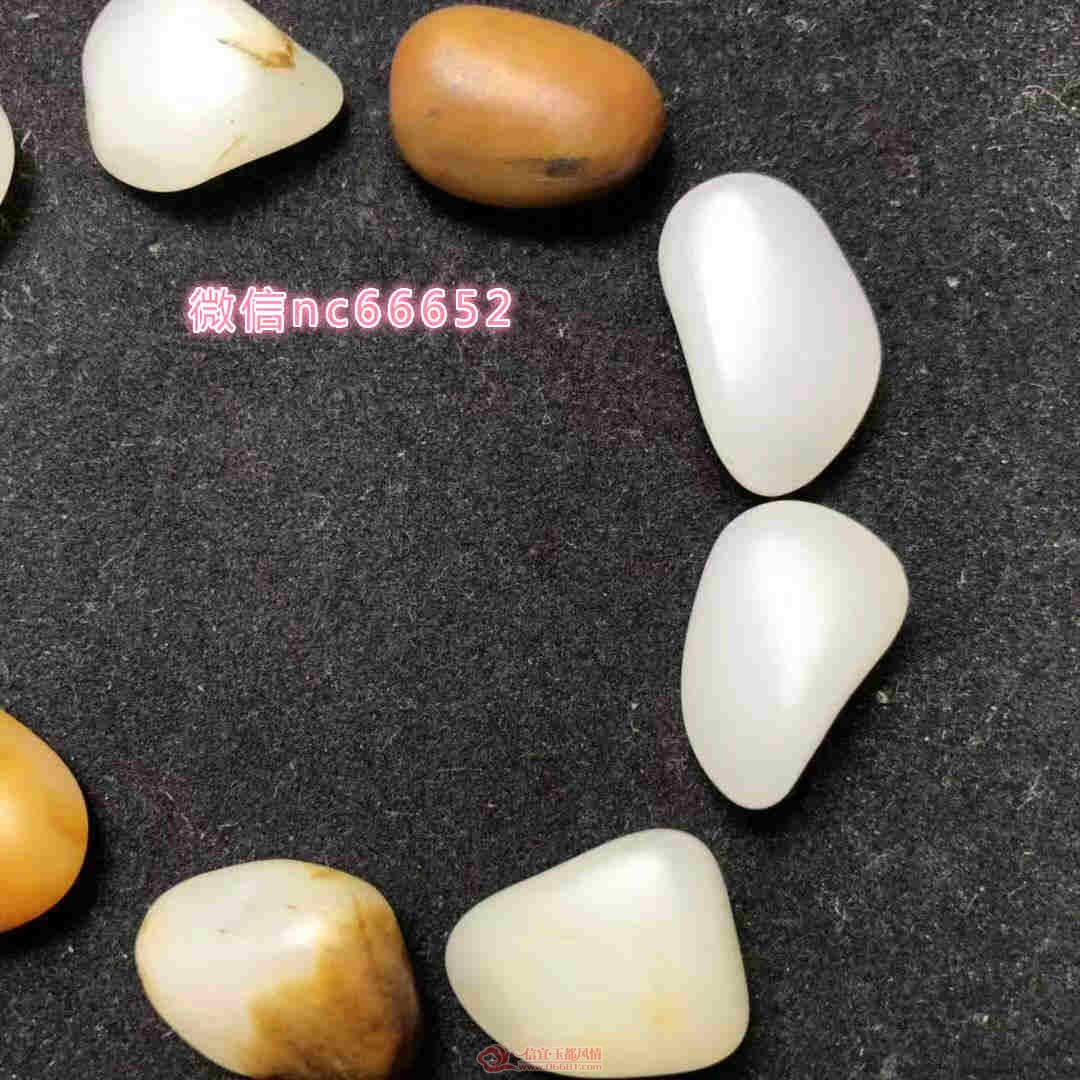03.jpg